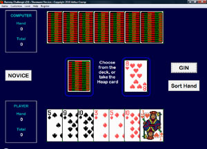 Rummy Challenge - Play a non-traditional card game of rummy.